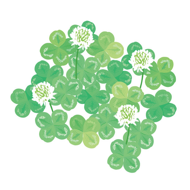 白色背景上的四叶三叶草插图。图片下载