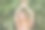 春天公园里快乐的年轻女子图片下载