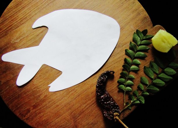 鱼的背景图片下载