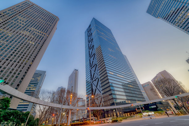 西新宿、新宿、东京傍晚的城市景观。图片下载