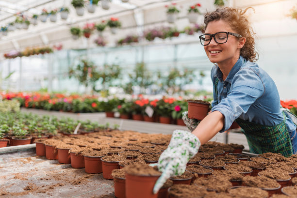 在花园工作的年轻女企业家图片下载