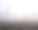 在雾中倒下的树和背景中其他树的剪影图片下载