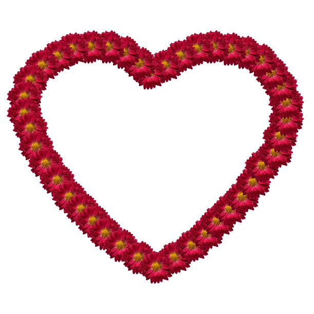 花的心。图片下载