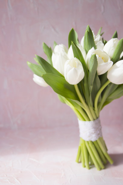 白色郁金香花束和光线在复古的粉红色背景。前视图与复制空间。影棚拍摄照片。特写镜头。图片下载