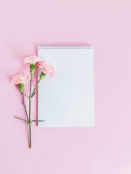 笔记本与空白的页和铅笔在粉红色粉彩的背景。图片下载