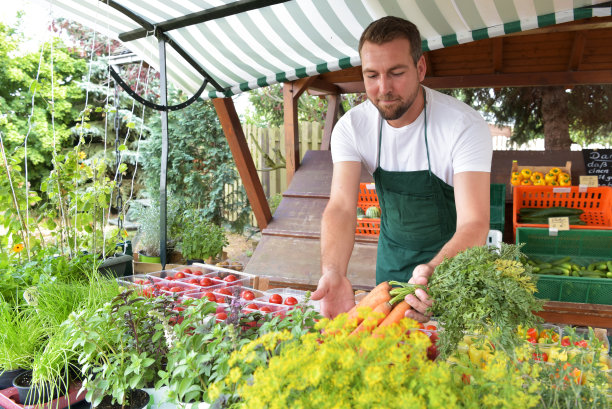 农民出售自己种植的水果和蔬菜，新鲜的水果和蔬菜来自田地和温室图片下载