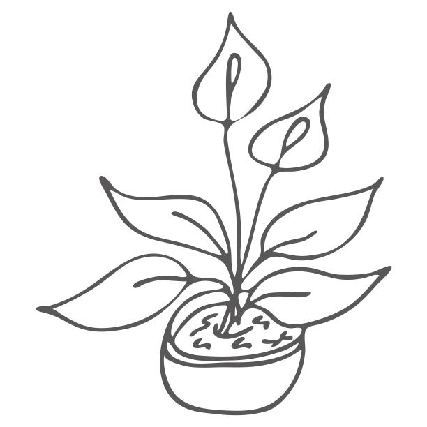 可爱的手绘仙人掌图片下载