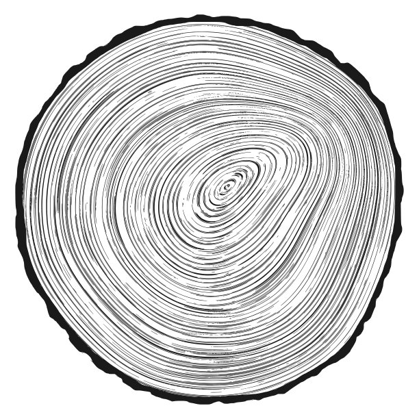 原木切割，矢量插图，树木年轮图案图片下载