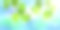 白桦树枝头用新鲜的春叶衬着蓝天，阳光灿烂，散景效果图片下载