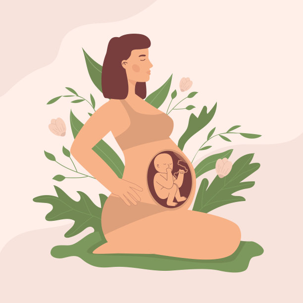 手绘胎儿插图矢量插图图片下载