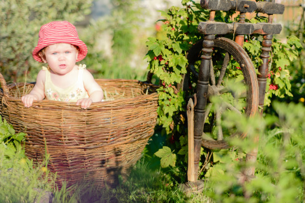 一个可爱的小女孩坐在花园里篮子里的干草上图片下载