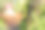 一个可爱的小女孩坐在花园里篮子里的干草上图片下载