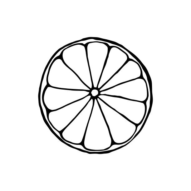 向量孤立的元素。柑橘类。橙色。柠檬。黑色手绘涂鸦在白色背景。印刷用于包装设计。图片下载