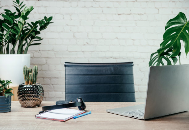 一个现代的家庭办公空间与笔记本电脑，笔记本电脑，耳机和时尚的家庭植物和多肉植物图片下载