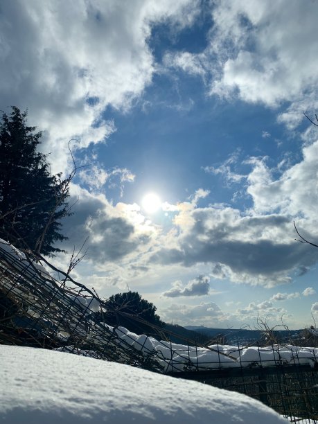 阳光照射在白雪覆盖的地面上图片下载