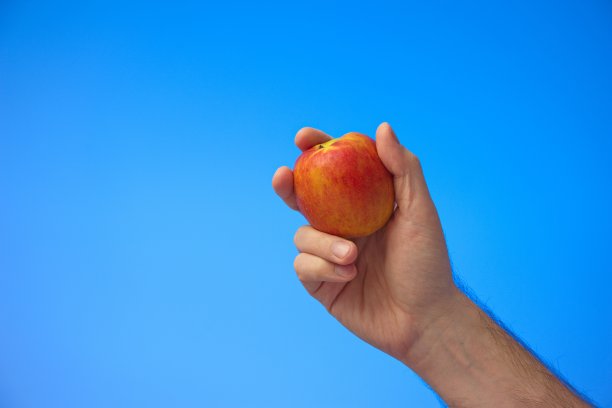 拿着成熟的红苹果的白人男性的手。近景摄影，孤立在蓝色背景上图片下载