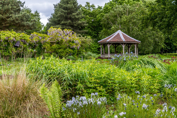 别墅花园图片下载