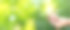 绿色背景下的手拿灯泡的特写图片，节能图标，展示节能和转向自然能源的概念。图片下载