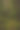 穿过深色青苔的森林图片下载