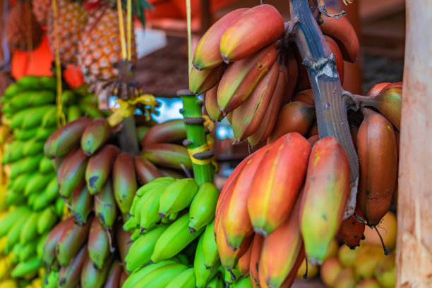 坦桑尼亚桑给巴尔的一家街头商店的屋顶下悬挂着各种各样的香蕉。图片下载