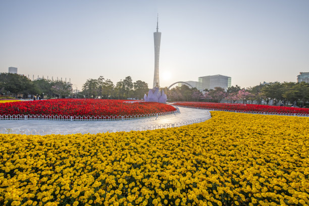 公园里盛开的鲜花和广州塔图片下载
