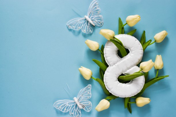 三八国际妇女节贺卡。白色郁金香，蝴蝶和白色数字8浅蓝色背景。复制空间，平铺。节日的概念素材图片