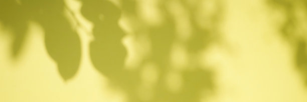 黄色背景上树叶的阴影。图片下载