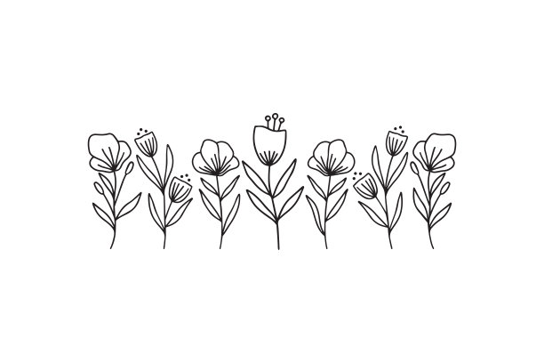 野花线艺术向量插图。图片下载