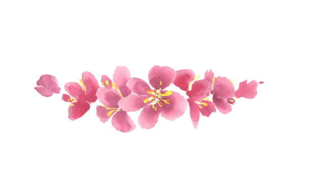 樱花水彩画框装饰元素。春天的花朵边境图片下载