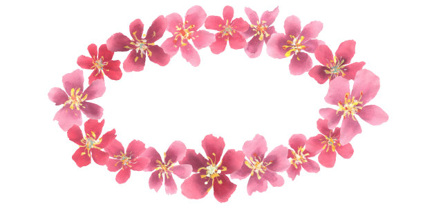 樱花水彩椭圆形框架图片下载