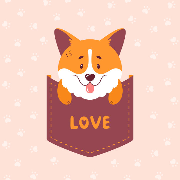 柯基坐在口袋里。可爱的狗矢量插图。图片下载