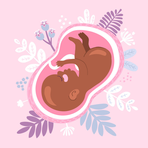 手绘胎儿插图矢量插图图片下载