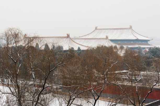 北京紫禁城雪中图片下载