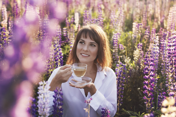 穿白衬衫的女孩，在羽扇豆的田野，拿着一杯花茶的夏天图片下载