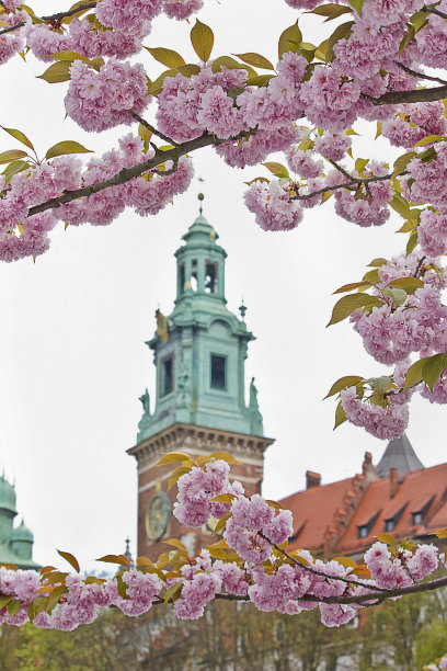 春天在克拉科夫图片下载