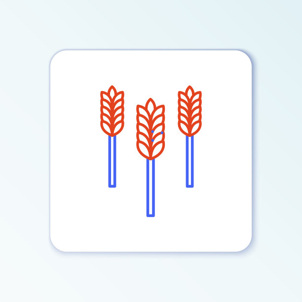 线谷物集大米，小麦，玉米，燕麦，黑麦图片下载