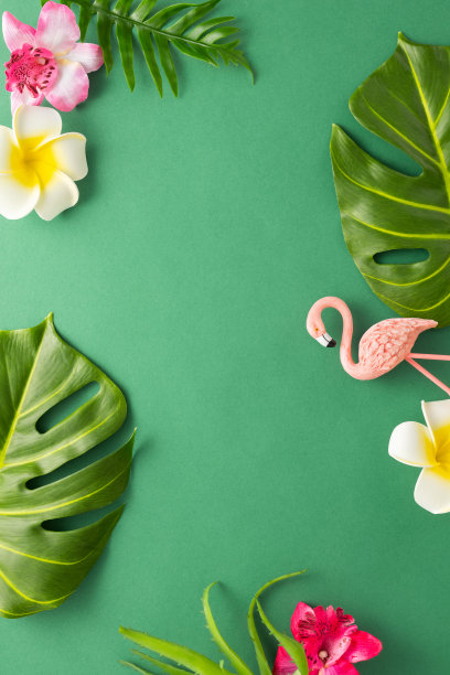 奇异的丛林夏日框架。夏日沙滩派对的概念。粉红色火烈鸟，热带叶怪物和兰花花在绿色的背景上。平铺，复制空间。图片下载