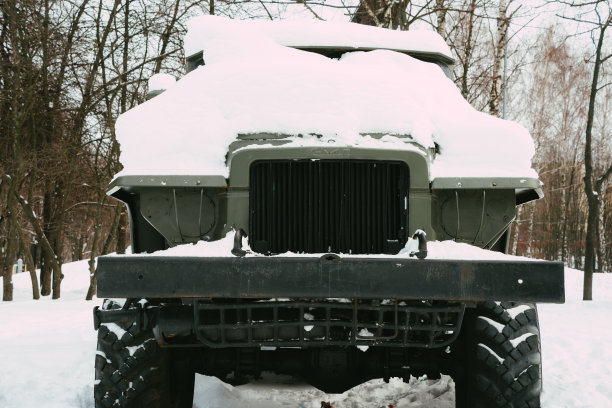 梁赞广场的苏维埃-波兰兄弟情谊纪念碑安装了12件军事装备图片下载