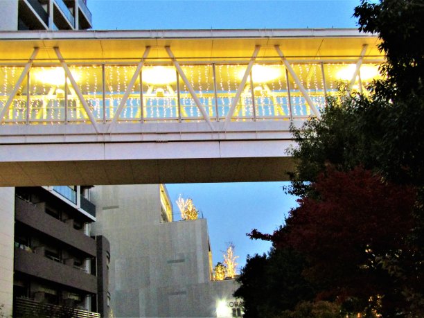 日本。11月。智慧城市Nagareyama为圣诞节做准备。图片下载