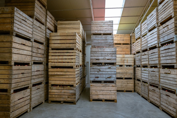 生产设施大型仓库-农作物的分级、包装和储存。图片下载