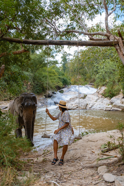 泰国清迈丛林中的大象保护区，大象农场在泰国清迈的山区丛林图片下载
