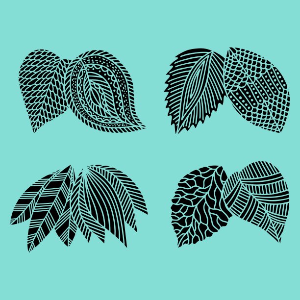 一套手绘植物叶片。向量涂鸦风格。图片下载