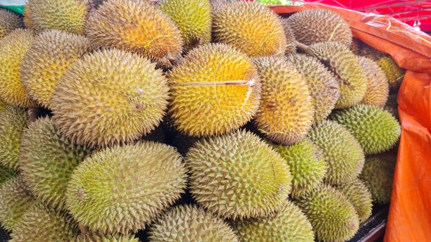一堆榴莲在水果摊贩那里收获图片下载