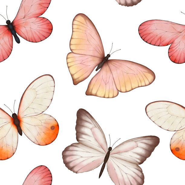 水彩热带异域蝴蝶无缝图案。春天的背景以蝴蝶为纺织品，壁纸，贺卡图片下载