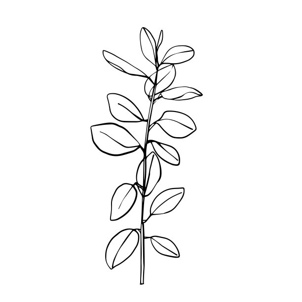 叶子和热带棕榈树线叶子孤立在白色背景上。矢量设计图片下载