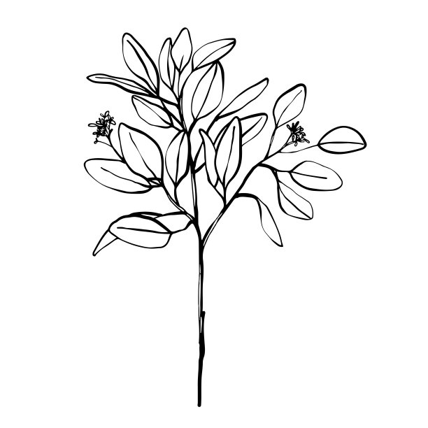 花艺术线条。抽象的、现代的或简约的。完美的家庭装饰，如海报。矢量设计图片下载