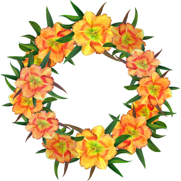 水彩背景上的花朵。黄色的黄花菜。水彩壁纸与花卉主题。无缝图案花卉水彩。水彩花圈。图片下载