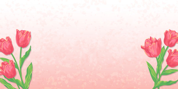 纹理背景上的花插图，横幅大小，红色郁金香图片下载