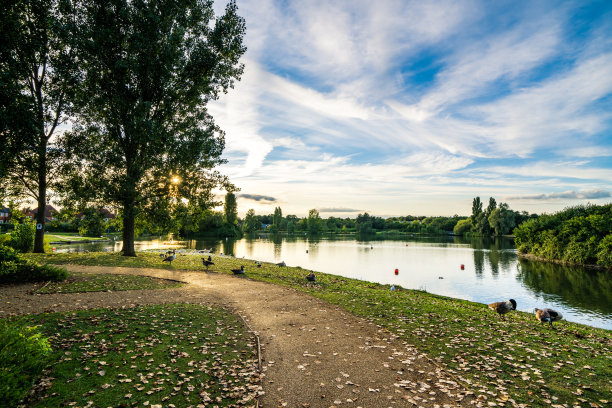 沿着绿色公园的湖泊自然保护区散步图片下载