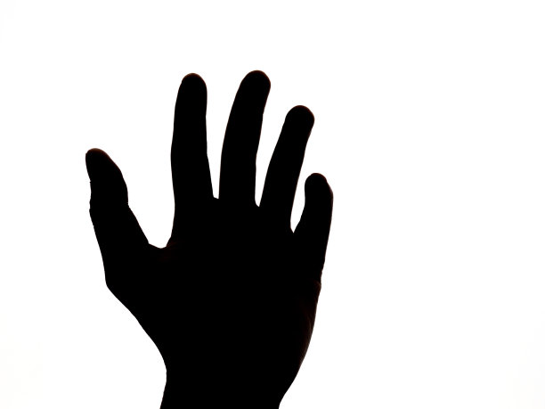 轮廓姿态棕榈图片下载